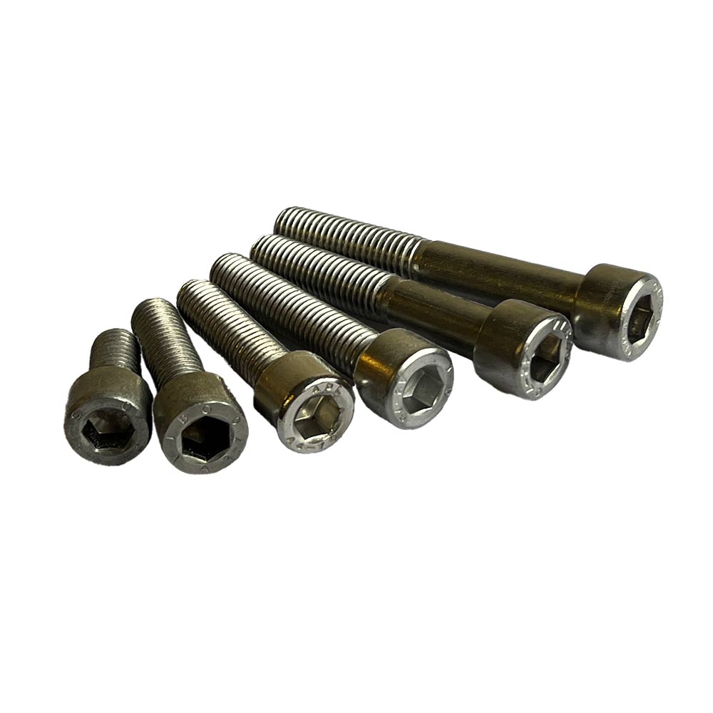 Bolzen M10 (Edelstahl) - 10 Stk.