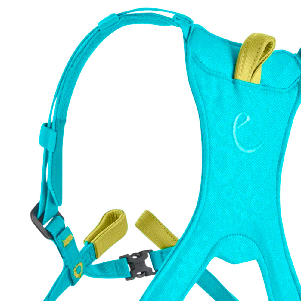 Edelrid FRAGGLE Full Body Climbing Harness