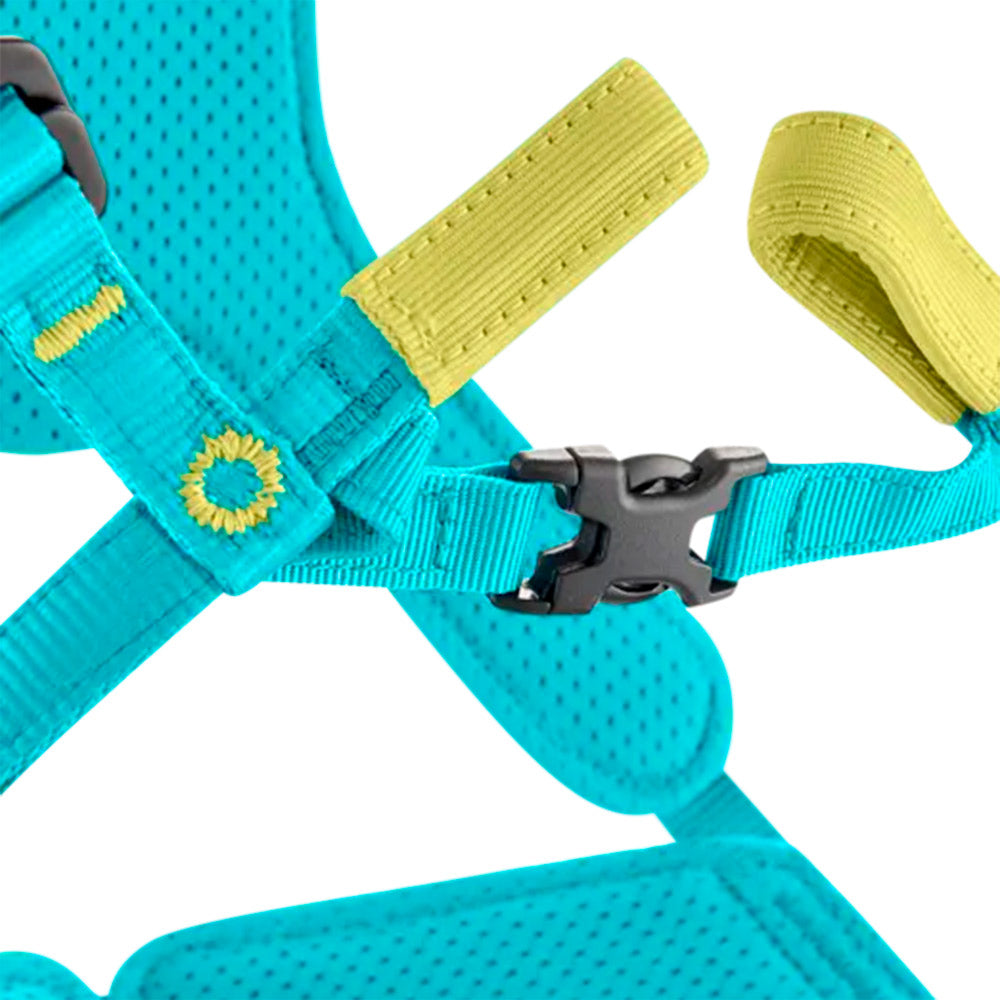 Edelrid FRAGGLE Full Body Climbing Harness