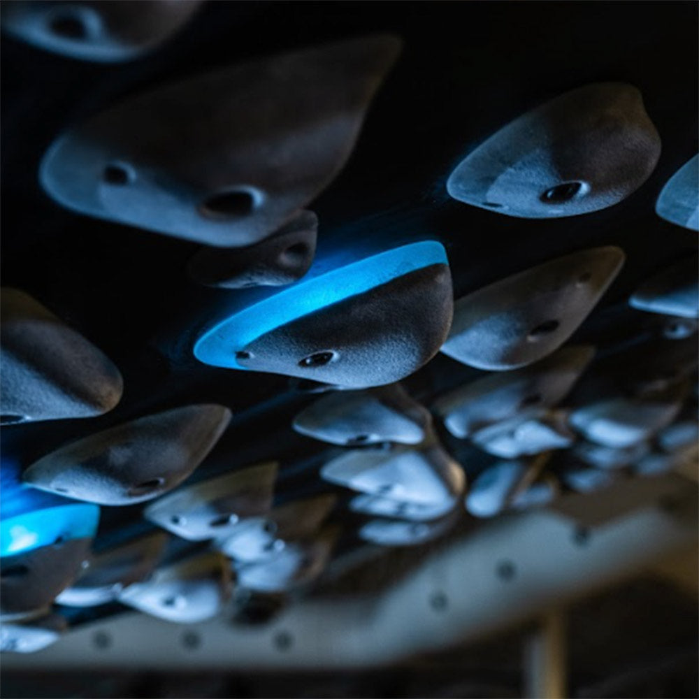 Lemur Design - Compact Wall