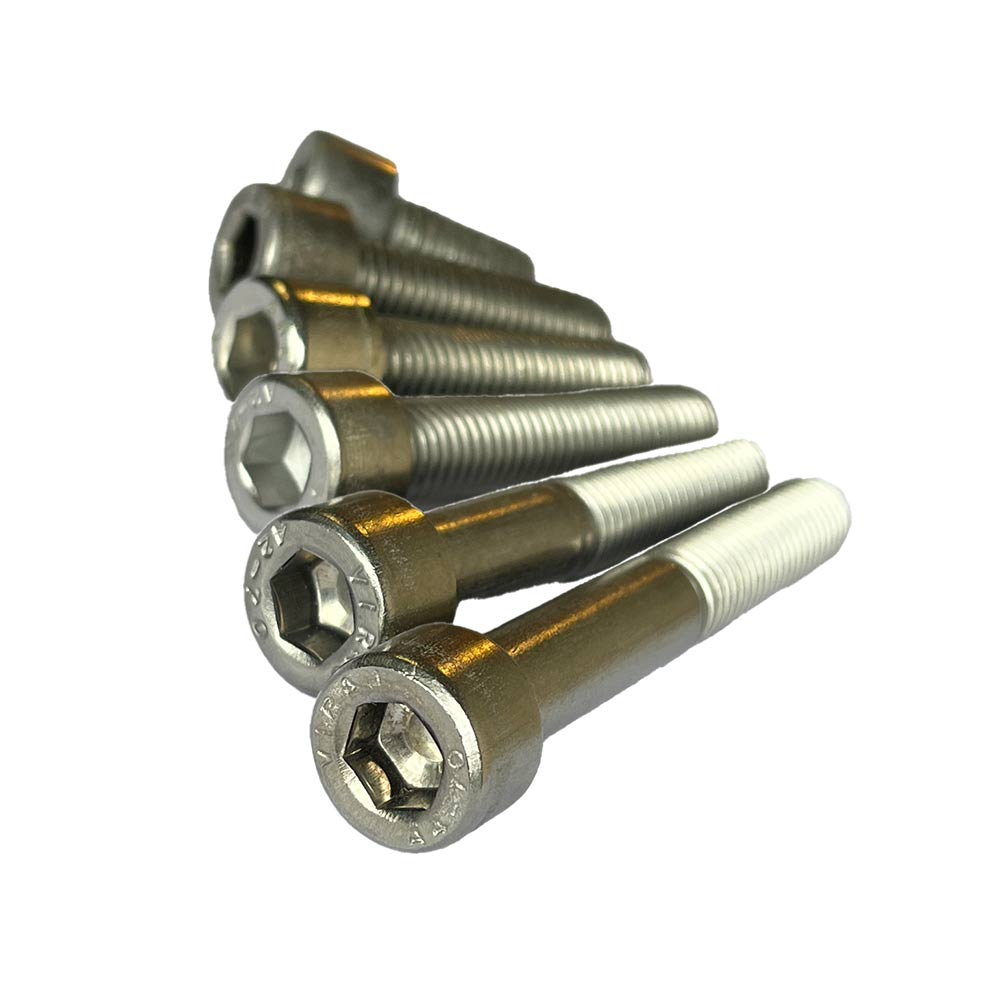 Bolt M10 (rustfri) - 10 stk.