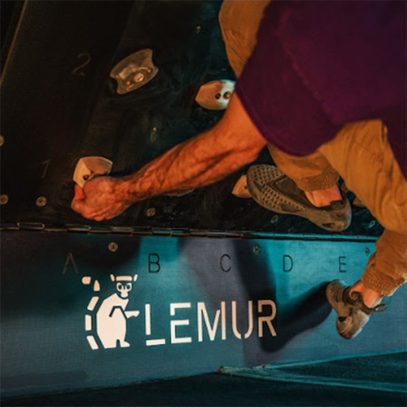 Lemur Design - Slab Wall