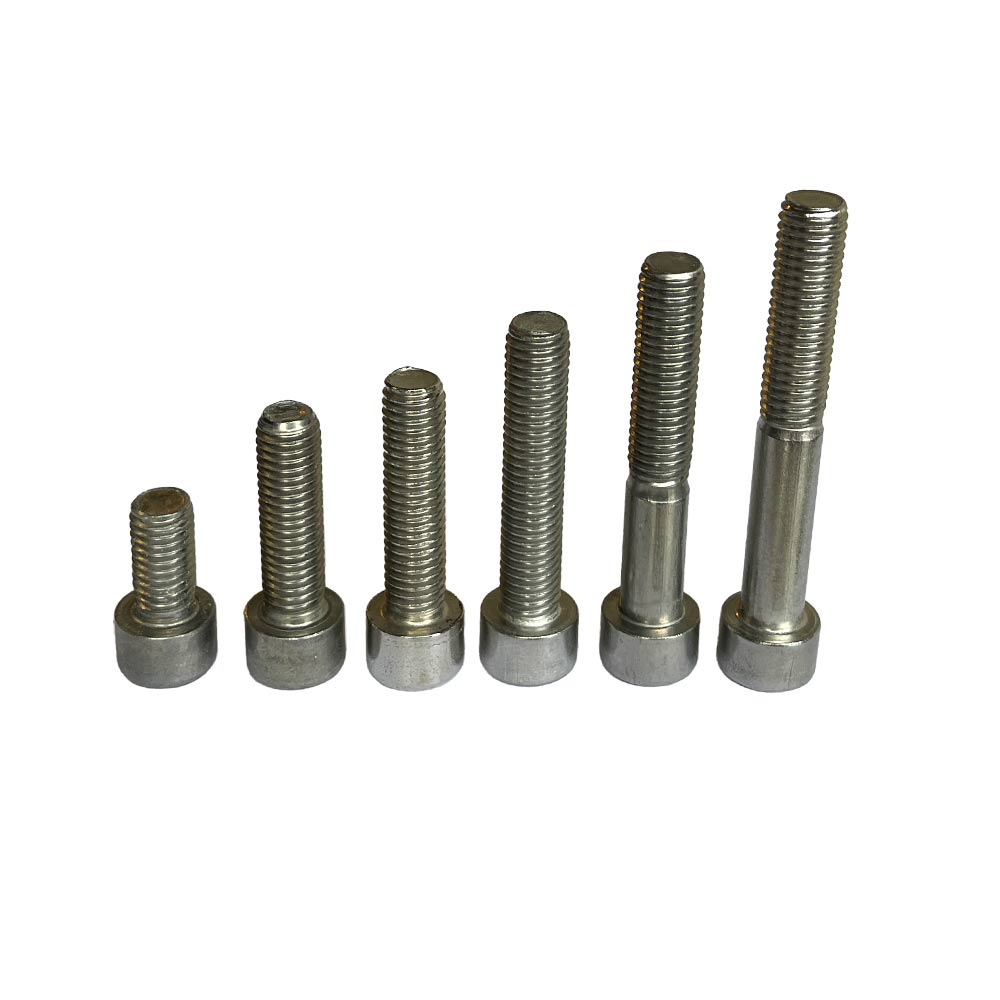 Bolt M10 (rustfri) - 10 stk.