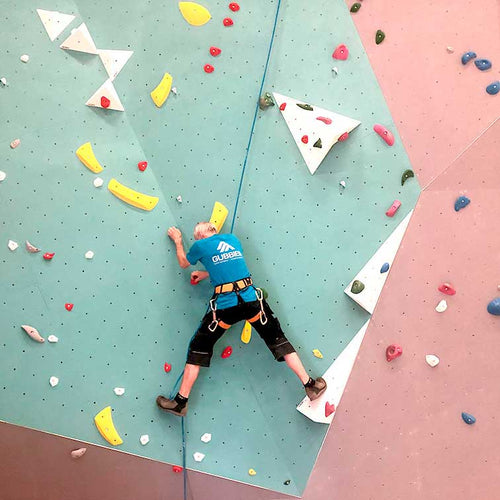 Main Climbing Tower Inspection – Safety & Maintenance | Gubbies