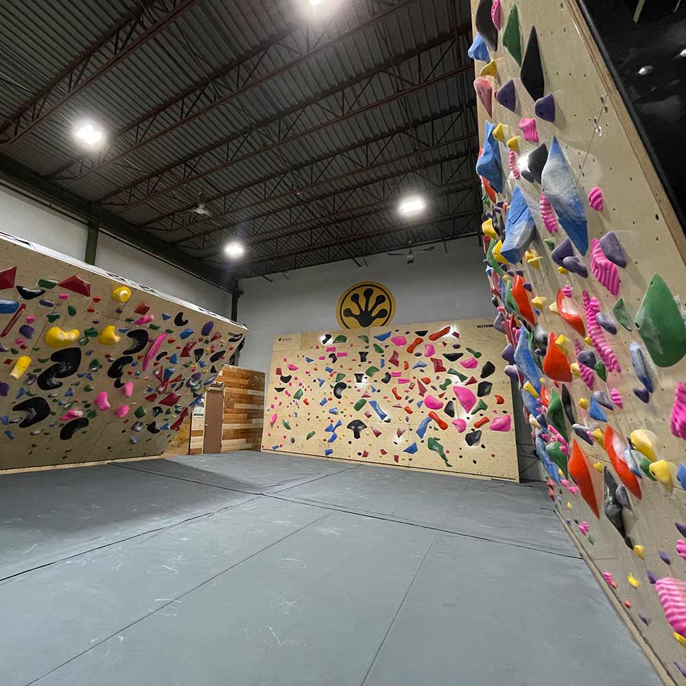 Lemur Design - Slab Wall