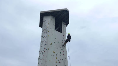 Service inspection of a climbing tower