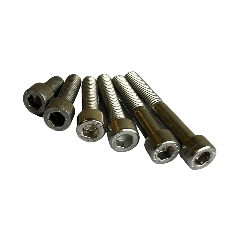 Bolzen M10 (Edelstahl) - 10 Stk.